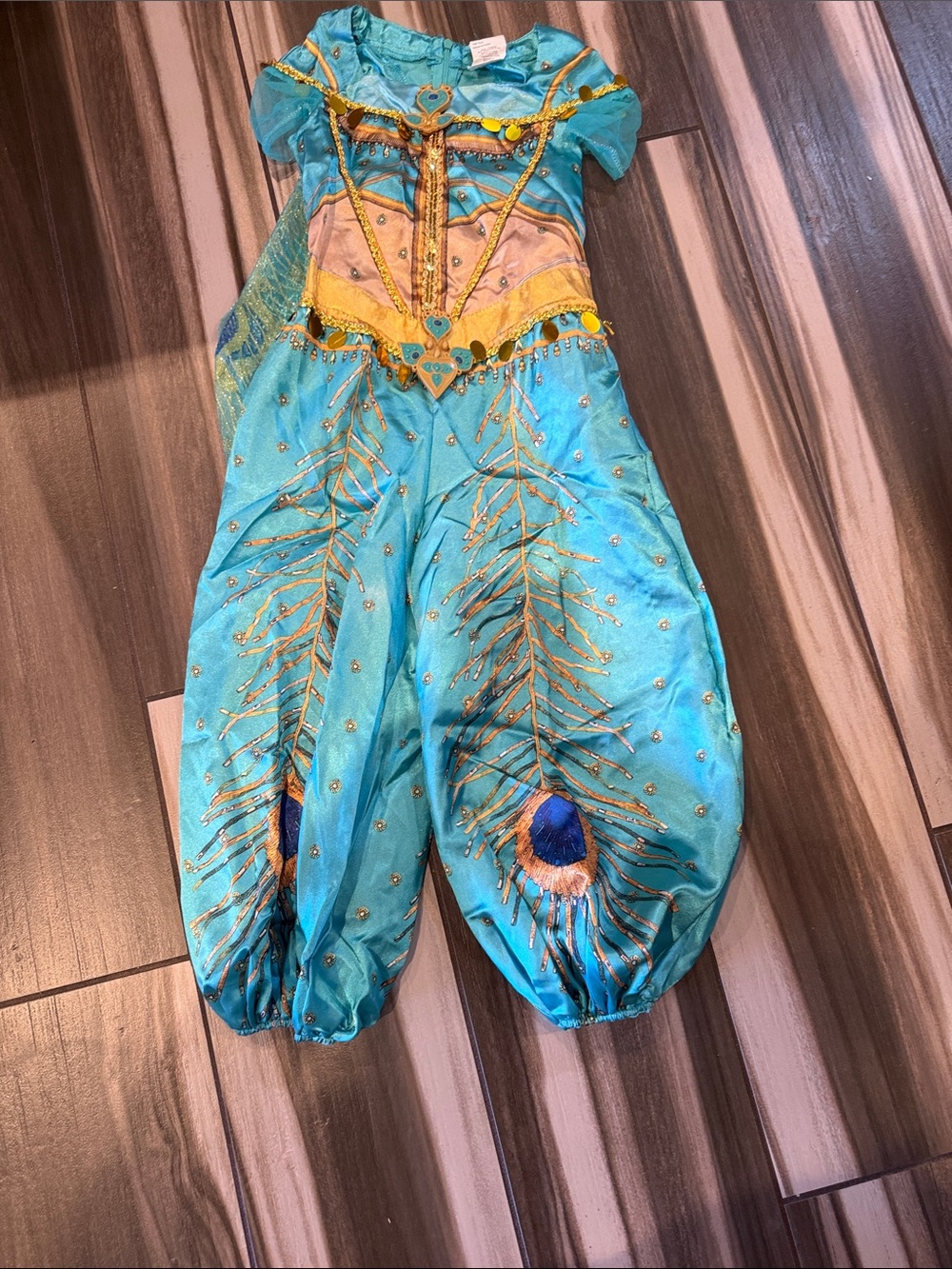 Disney Turquoise and Gold Peacock Princess Costume